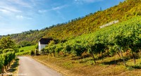 3 Tage - Weinreise Saale und Unstrut – oder die Toskana des Nordens
