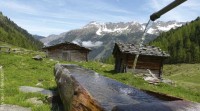 8 Tage - Imst/Tirol
